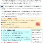 けいめいだより6月号３