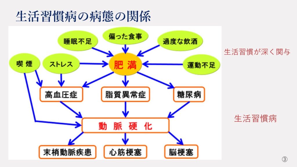 生活習慣病の病態の関係について説明した図