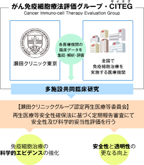 がん免疫細胞療法評価グループ・CITEGについて説明した図