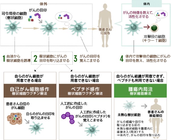 樹状細胞ワクチン療法について説明する図