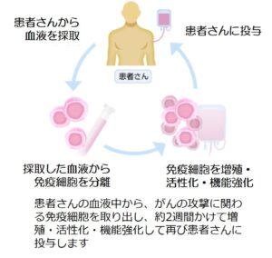 免疫療法について説明したイメージ図