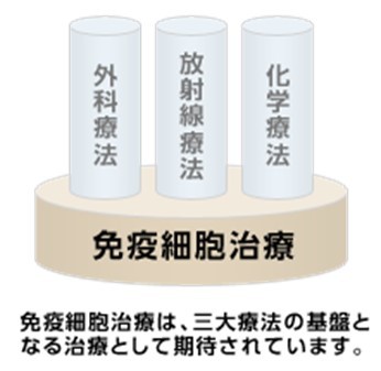 免疫細胞治療は、三大療法（外科療法・放射線療法・化学療法）の基盤となる治療として期待されています