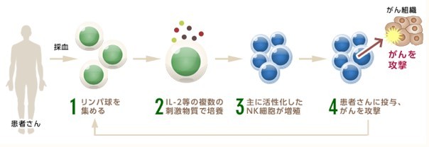 NK細胞療法について説明した図